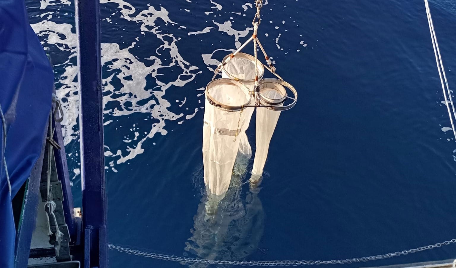 Baleares: científicas del COB y del IEO estudian cómo el plástico impacta la biodiversidad marina