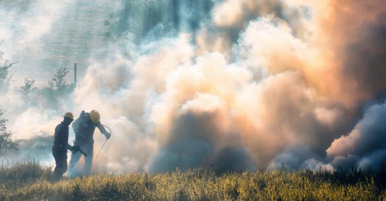 Fuego forestal en Chandrexa de Queixa (Ourense): mil hectáreas quemadas