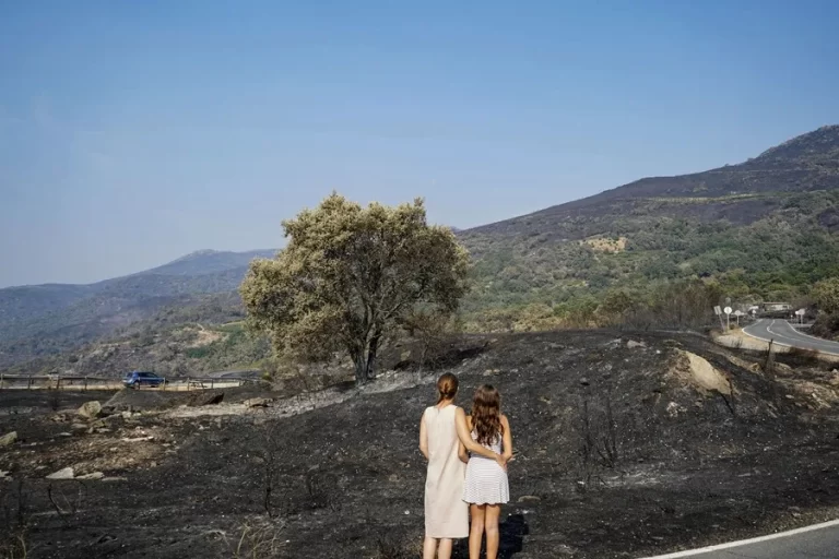 Drones térmicos, tecnología de vanguardia en el incendio de Jarilla y Google lanza sus nuevos