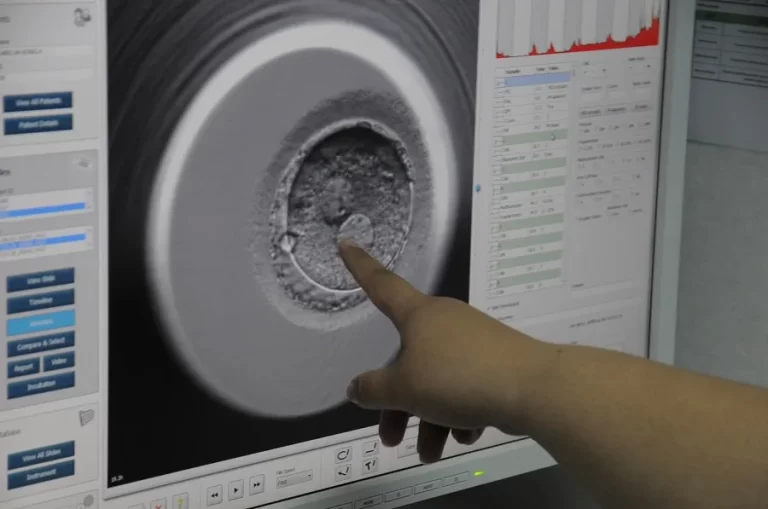 Investigadores registran en tiempo real la implantación de un embrión humano por primera vez.