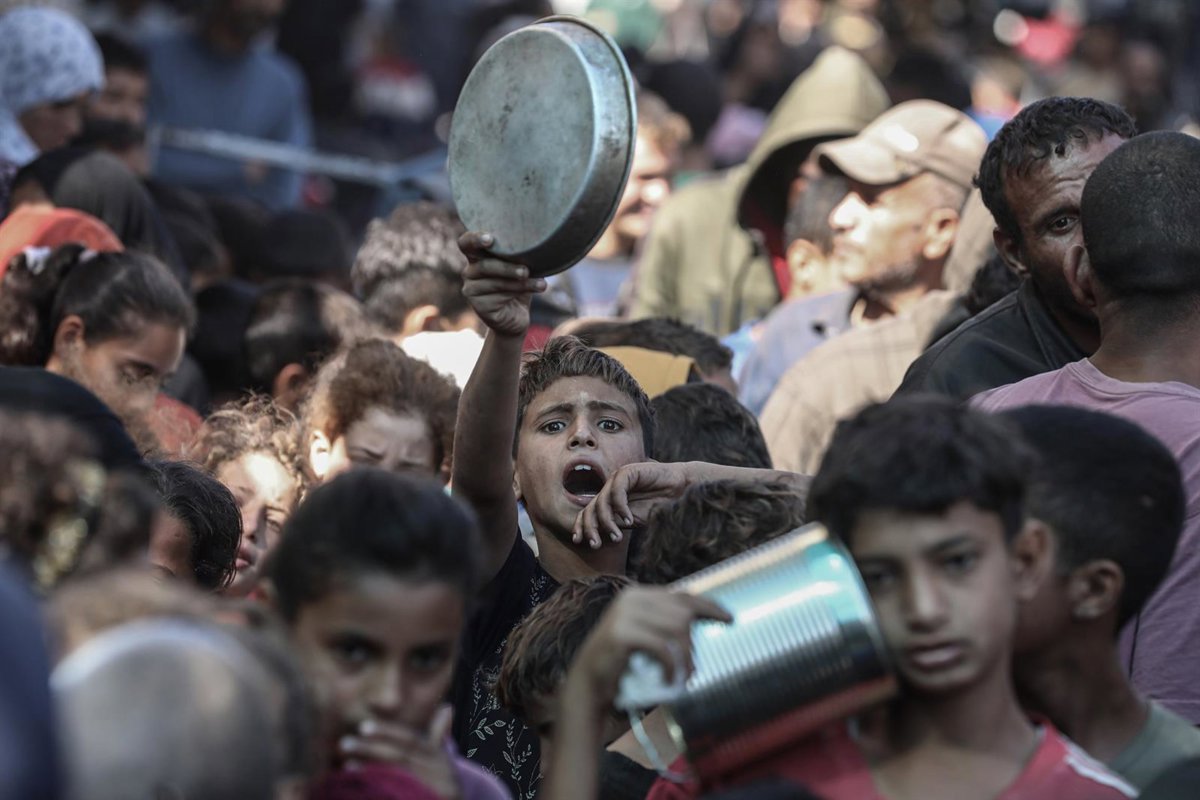 La OMS advierte que cerca de 12.000 niños en Gaza padecen desnutrición aguda, un número sin