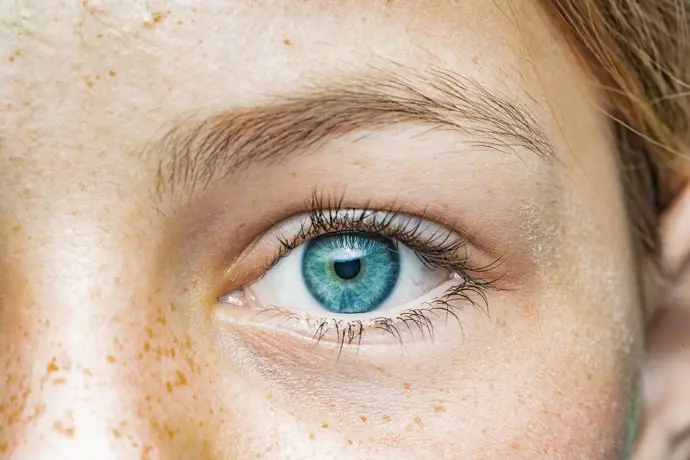 Células retinianas restauran la visión diurna en un modelo de retinosis pigmentaria