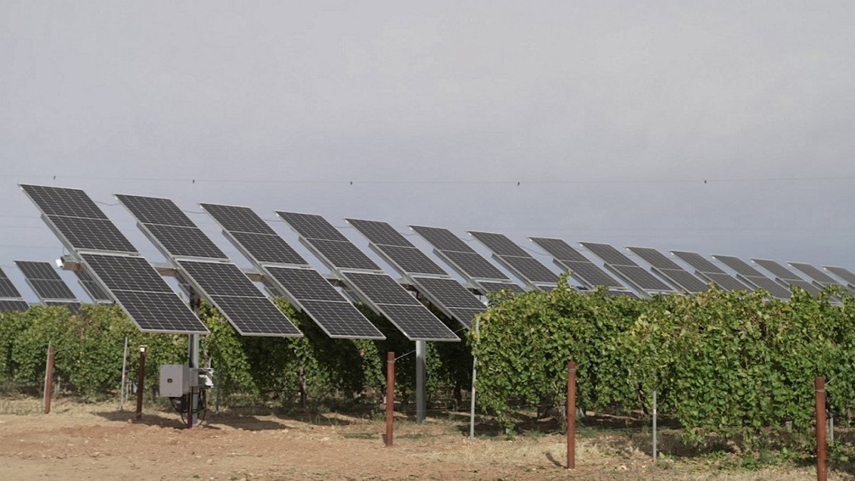 Iberdrola desarrollará en Álava la primera instalación agrovoltaica para impulsar el cultivo de