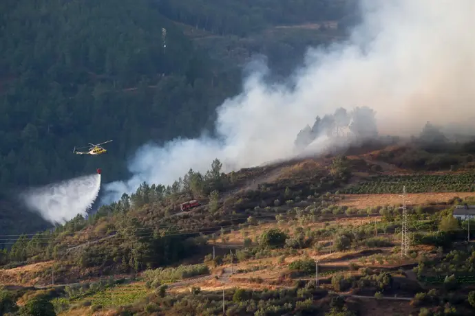 quiénes son más vulnerables al humo de incendios y cómo resguardarse según neumólogos