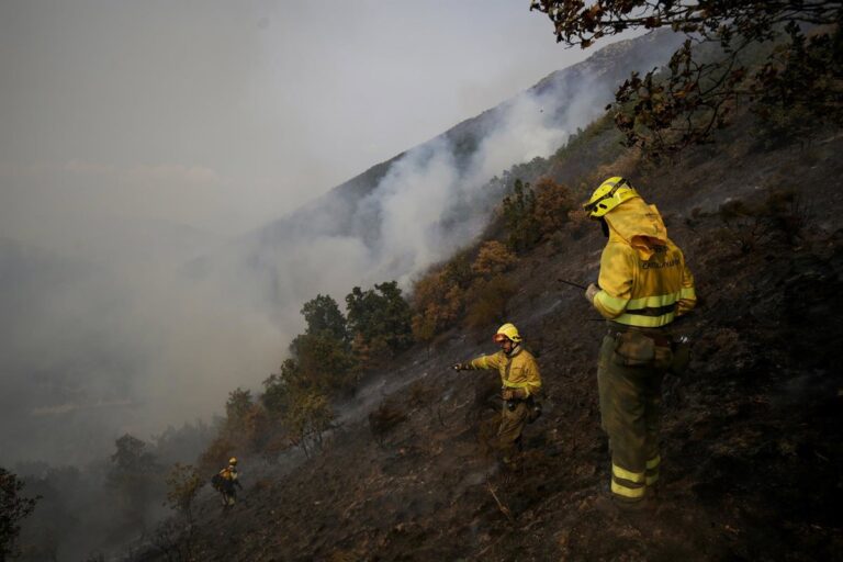 Cómo reclamar indemnización por incendios en España tras un verano devastador en la última