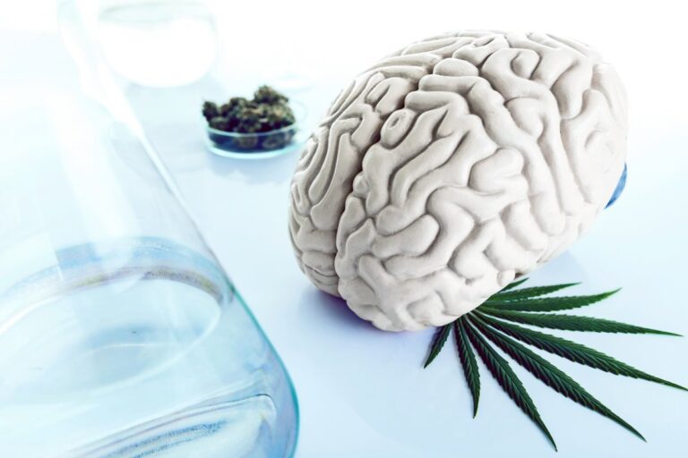 El alto contenido de THC se vincula con la esquizofrenia y la psicosis