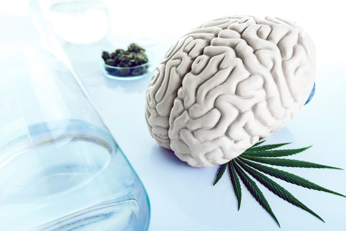 El alto contenido de THC se vincula con la esquizofrenia y la psicosis