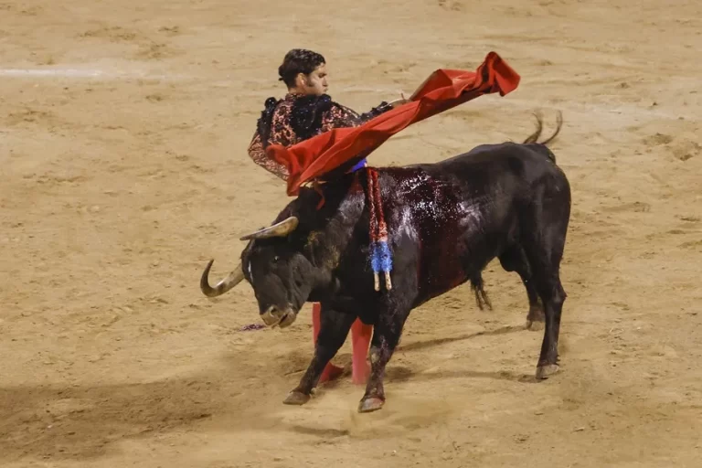 Morante de la Puebla es dado de alta tras la cornada sufrida en Pontevedra