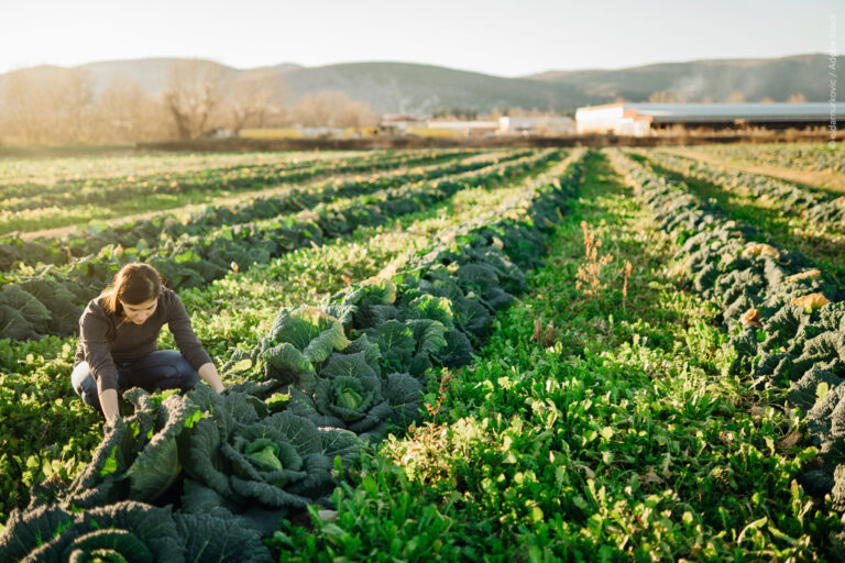 El Parlamento expresa su postura sobre la política agrícola futura de la UE