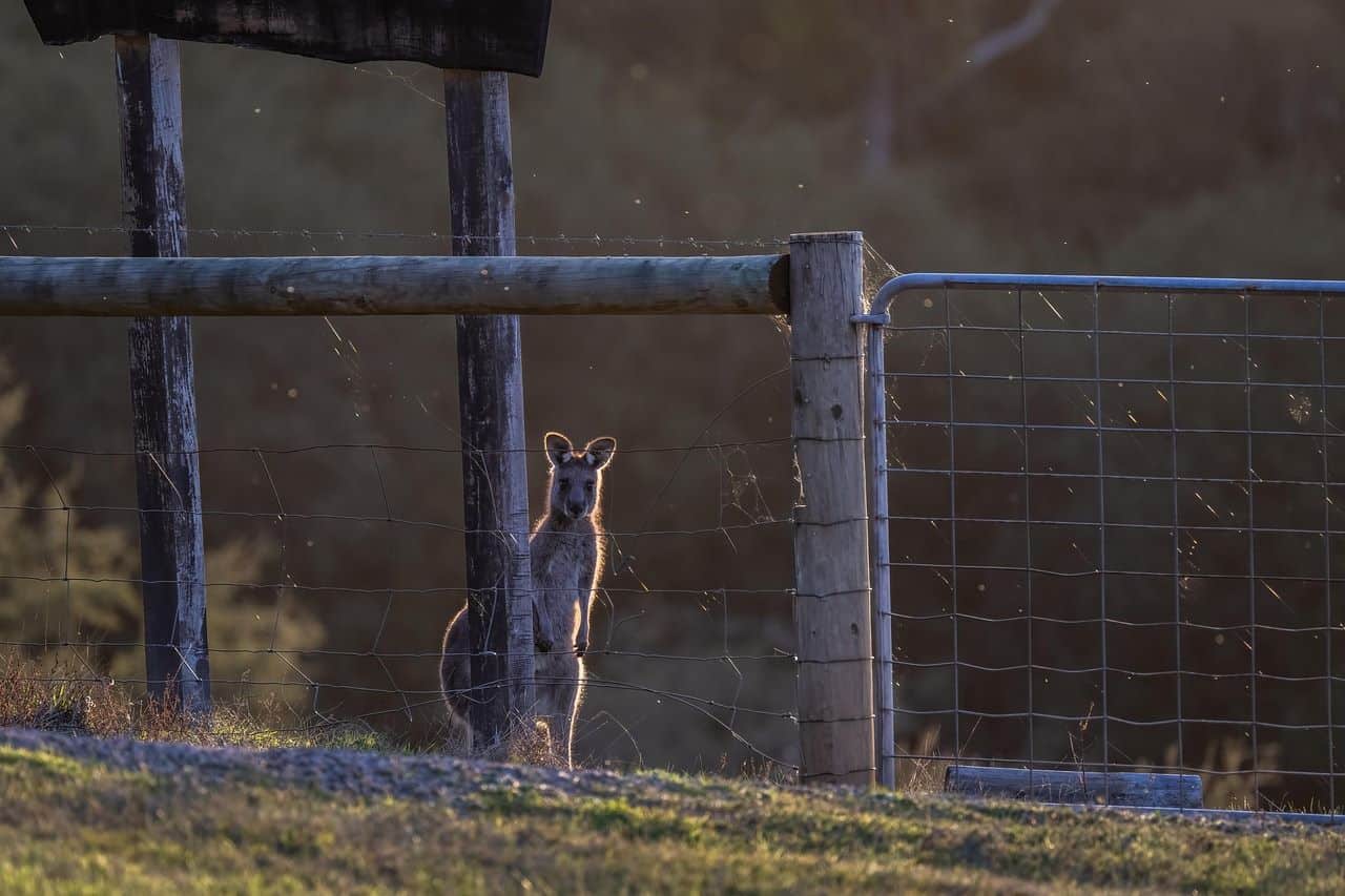 Australia enfrenta serios retos por el cambio climático, como el aumento del nivel del mar y olas