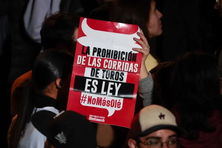La Corte Constitucional de Colombia aprueba la ley que prohíbe corridas de toros y peleas de gallos