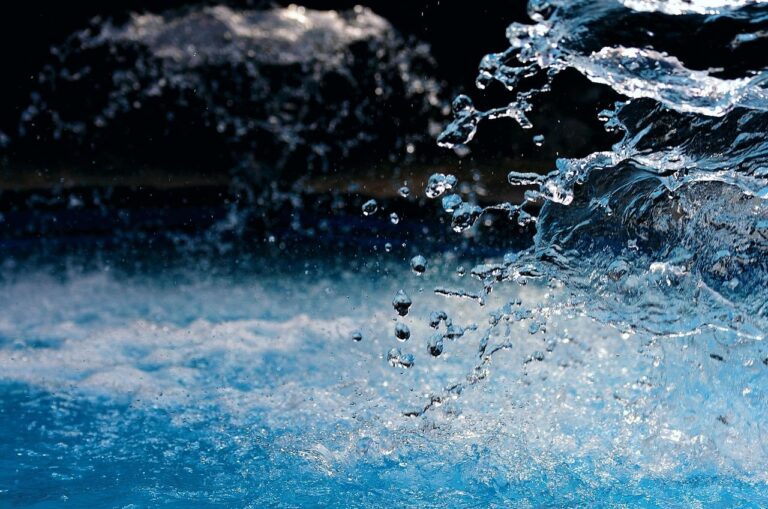 Día Internacional de la Calidad del Agua 2025: un llamado a la acción por un recurso esencial