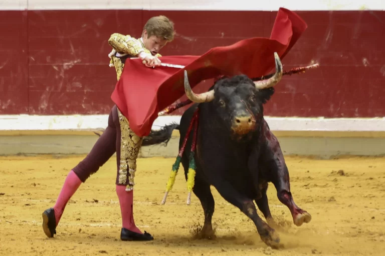 Borja Jiménez triunfa en la plaza de Logroño al cortar dos orejas en una destacada actuación