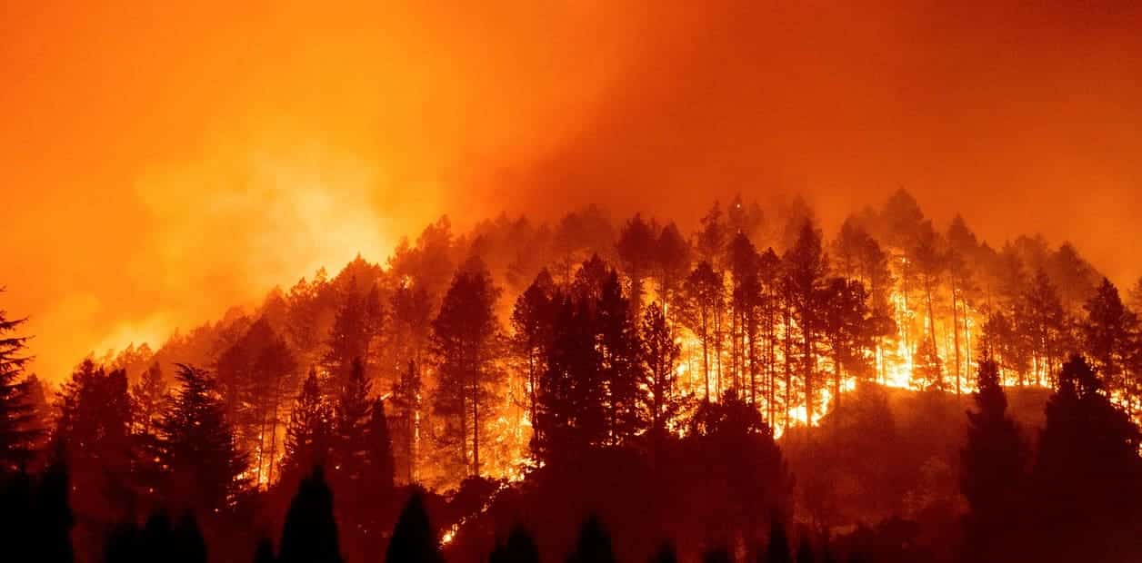 La prevención de los incendios forestales de este verano es claramente mejorable