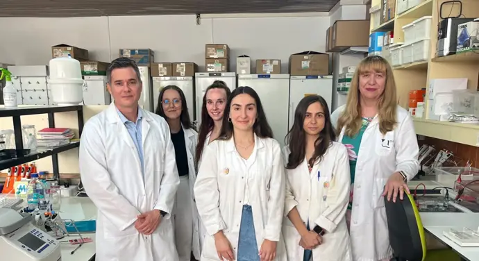 Estudian que las proteínas humanas relacionadas con el Alzheimer causan más daño que las de