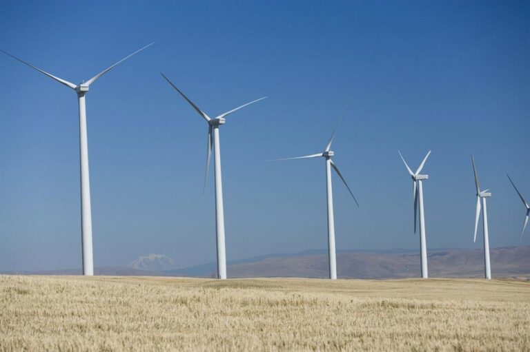 Trump cuestiona dos proyectos de parques eólicos marinos de Avangrid (Iberdrola) en Estados Unidos