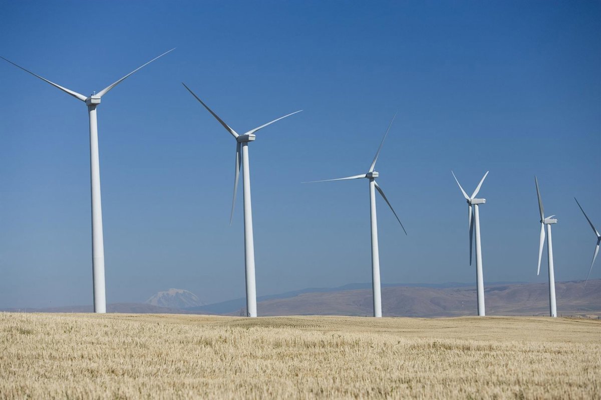 Trump cuestiona dos proyectos de parques eólicos marinos de Avangrid (Iberdrola) en Estados Unidos