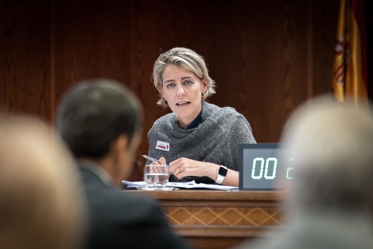 Las eléctricas acusan a REE de ser el "único responsable" del apagón por no prever la situación