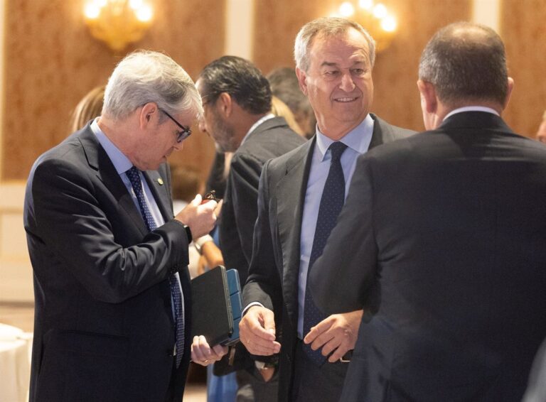 González-Bueno afirma que la OPA de BBVA carece de relevancia para los inversores institucionales