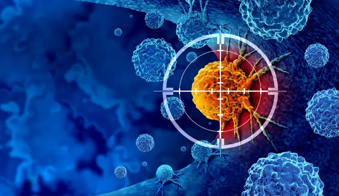 Investigadores crean una proteína de fusión que mejora la eficacia de la inmunoterapia contra el