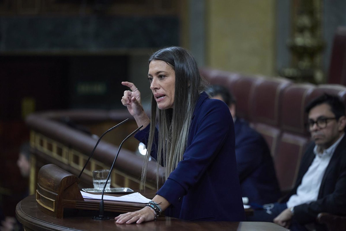 El Congreso debate las enmiendas de Junts para que grandes empresas usen el catalán en su atención