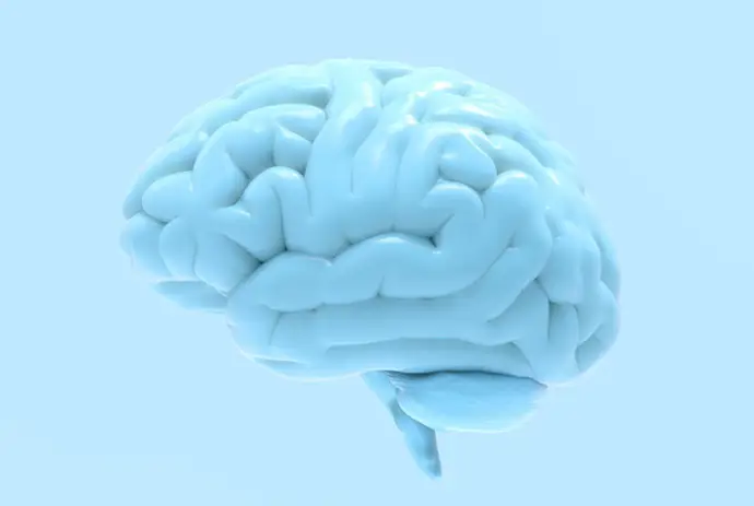 Organoides cerebrales ayudan a descubrir las bases neuronales de la esquizofrenia y el trastorno