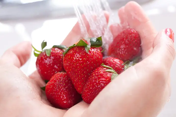 Verduras y frutas comunes con mayor contenido de pesticidas