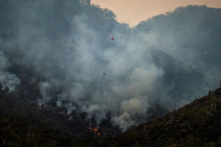 China disminuye sus emisiones de carbono, pero los incendios forestales en España ponen en riesgo