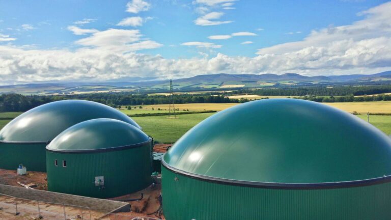 La Universidad de Jaén apoya las plantas de biogás y biometano por sus beneficios en la economía