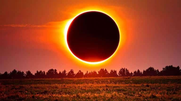 Ante un eclipse solar, el día se vuelve noche y muchos pájaros actúan como si se despertara el