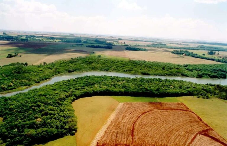 Corredores biológicos del oeste ibérico e Iguazú, ejemplos destacados de gestión en la UICN