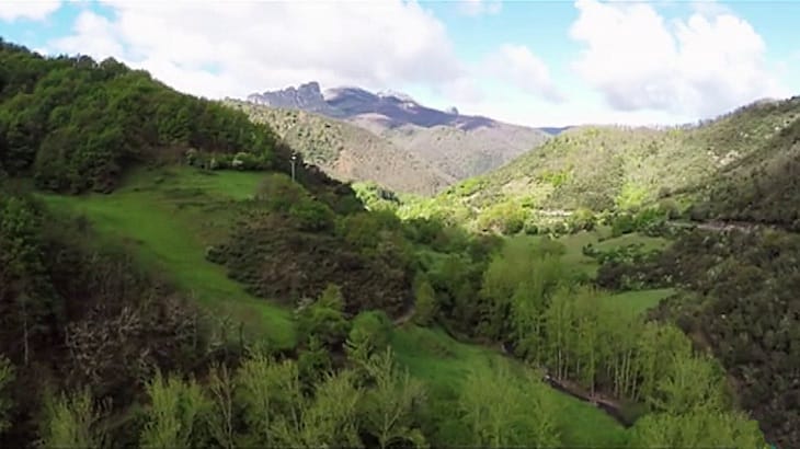 Programa AESENA: asesoría gratuita para empresas en municipios de la Red Natura 2000 en Andalucía