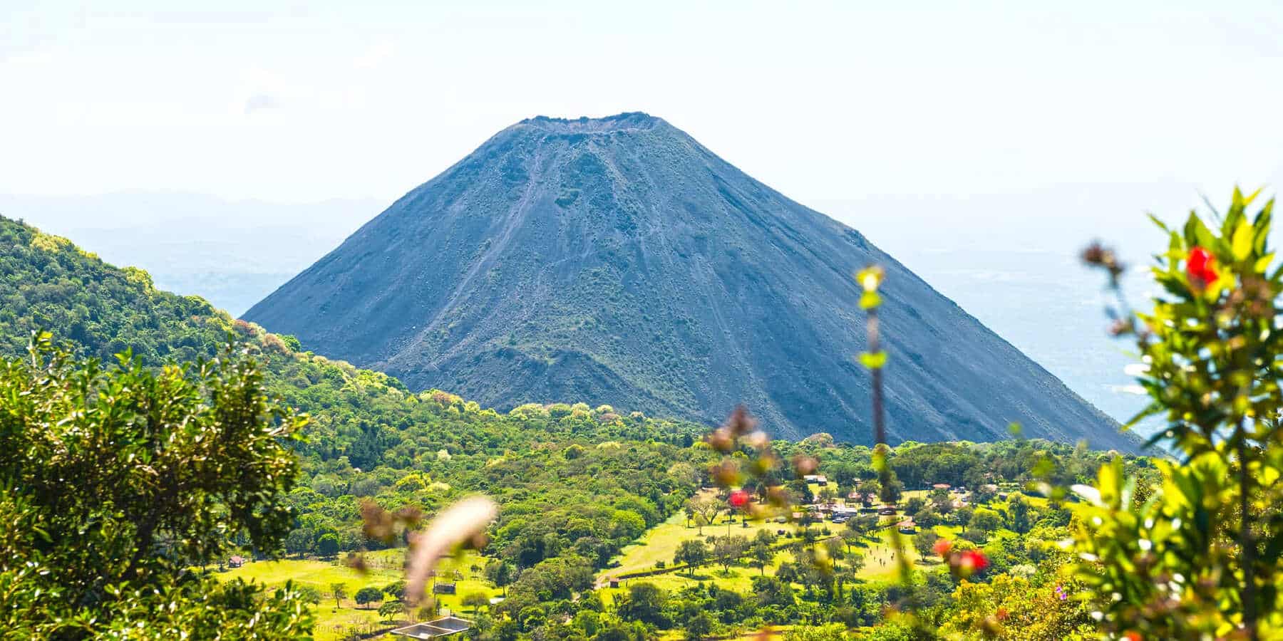 ONG ambiental en El Salvador detiene sus operaciones por acusaciones de persecución y