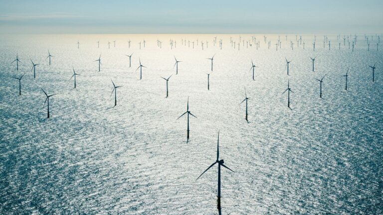 Marina Offwind, la iniciativa del Galician Offshore Energy Group para la supervisión remota de