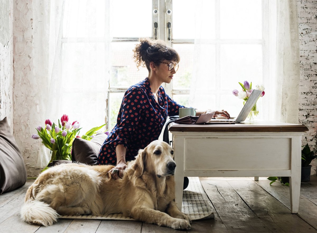 Tu antidepresivo más leal: la conexión con perros y gatos y su poder para hacerte feliz