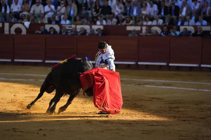 La Fundación Toro de Lidia celebra que no avancen las iniciativas contra la tauromaquia como un