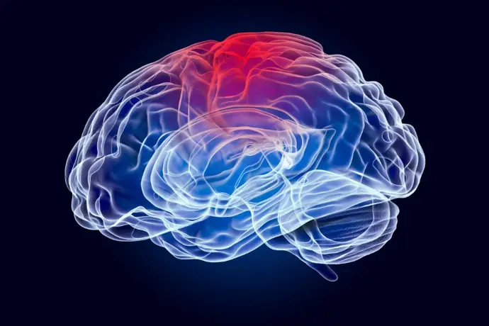 Zonas cerebrales más lesionadas en pacientes con esquizofrenia son identificadas