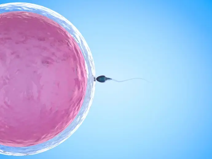 Identifican alteraciones en los espermatozoides a partir de los 40 años de edad