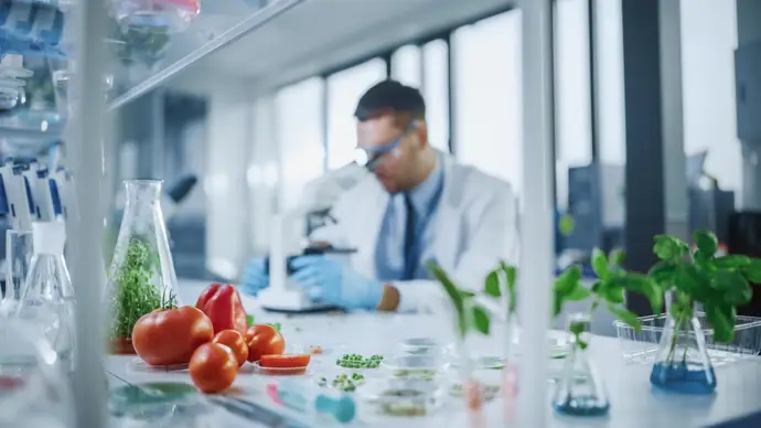 De la naturaleza al plato: cómo las proteínas innovadoras transforman nuestra alimentación en el
