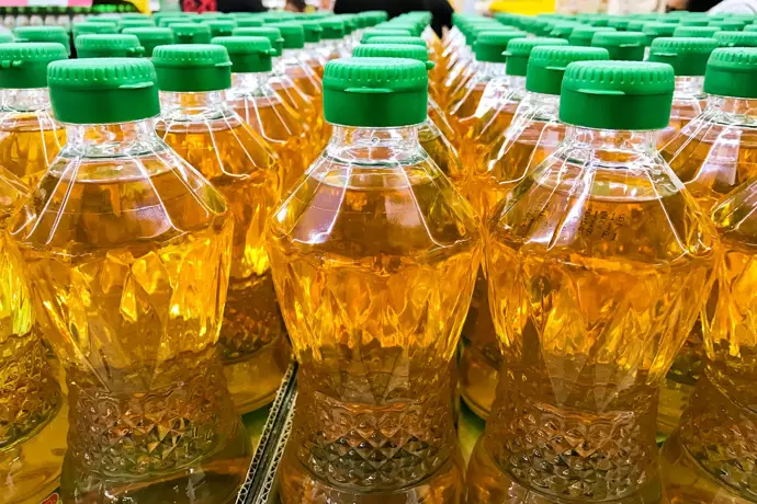 El aceite de palma: ¿realmente es un villano? Analicemos la verdad sobre los aceites vegetales