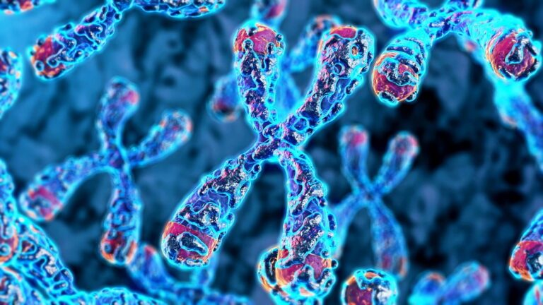 Una innovadora inteligencia artificial ayuda a detectar células con anomalías cromosómicas que