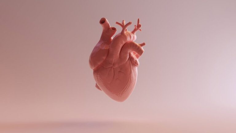 Las células madre ofrecen nuevas posibilidades de recuperación tras un infarto cardíaco