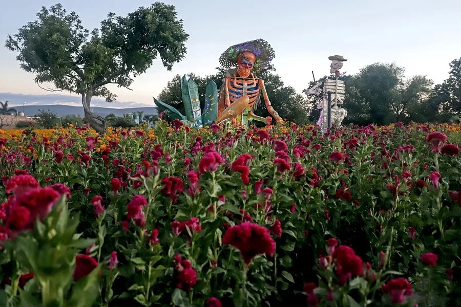 M&eacute;xico D&iacute;a de Muertos