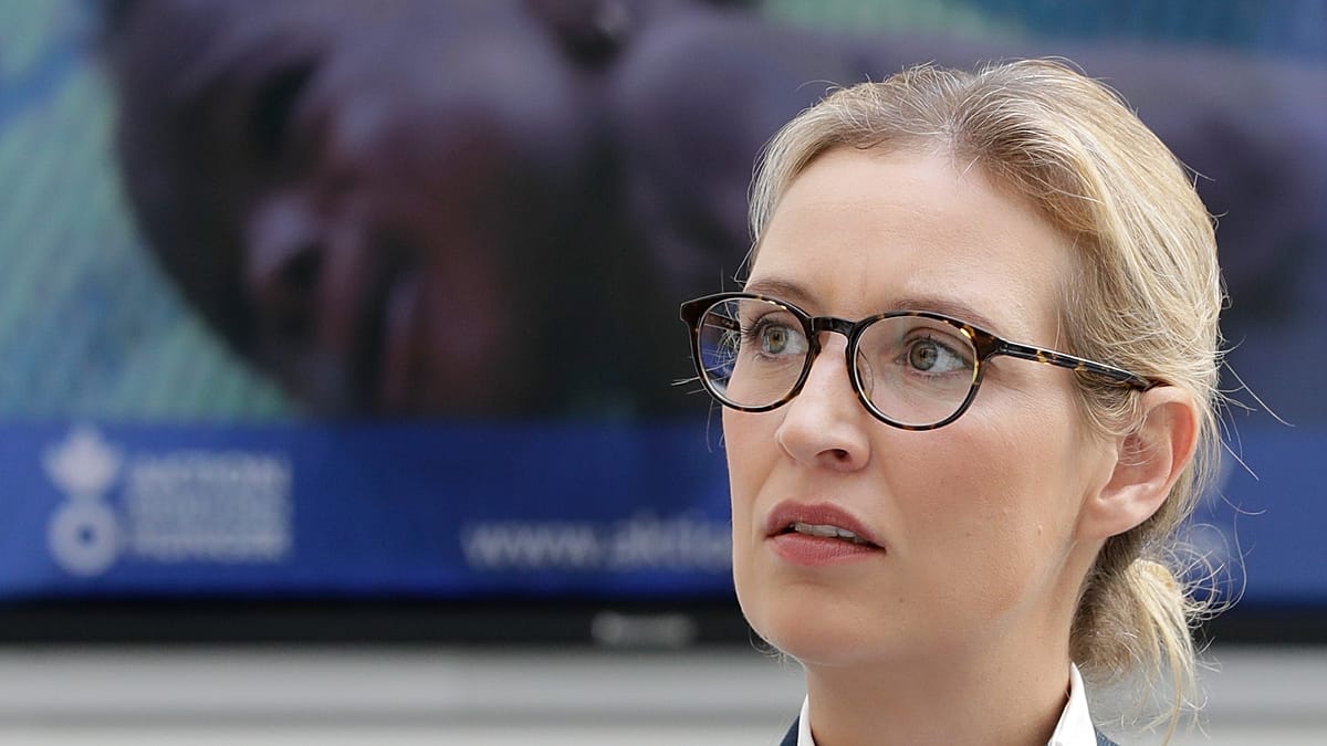 ¿Trump hizo una invitación a la ultraderechista Alice Weidel para visitar la Casa Blanca?