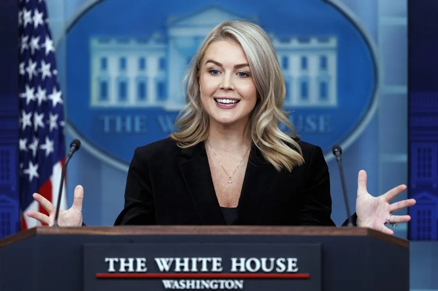Trump cerdita