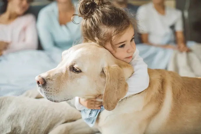 La influencia de las mascotas en los primeros años de vida y su impacto en el desarrollo emocional