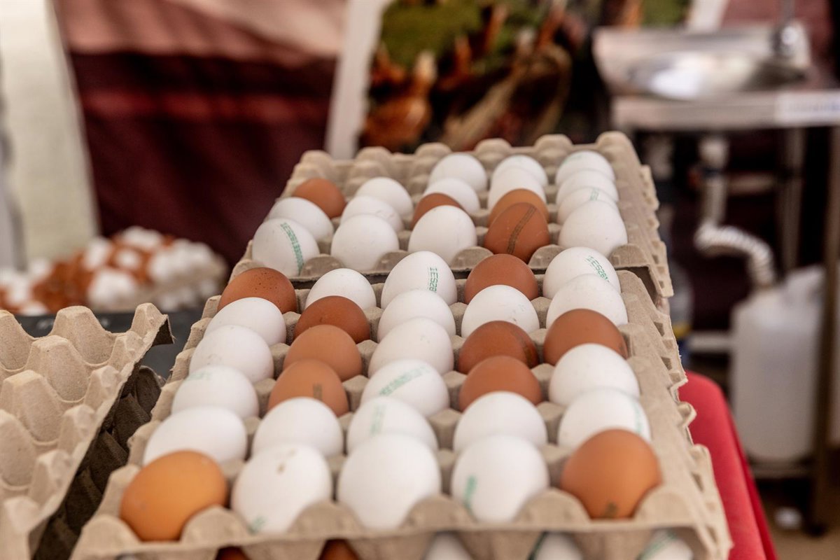 Huevos, café, chocolate y carne de vacuno han registrado incrementos significativos en sus precios