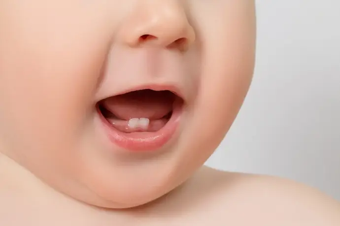El asombroso elemento que acelera la erupción dental en los bebés