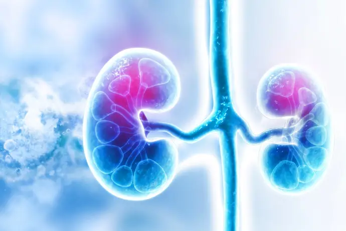 Inhibidores SGLT2 disminuyen la progresión de la ERC y reducen hospitalizaciones y mortalidad en