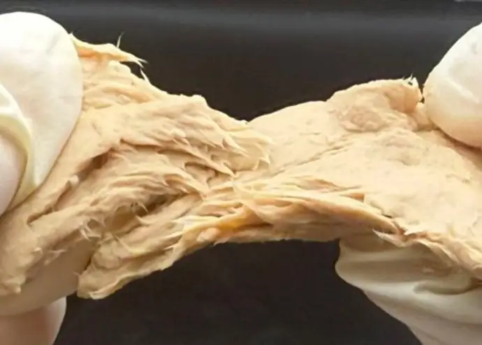 El hongo con sabor a carne: la alternativa proteica del futuro